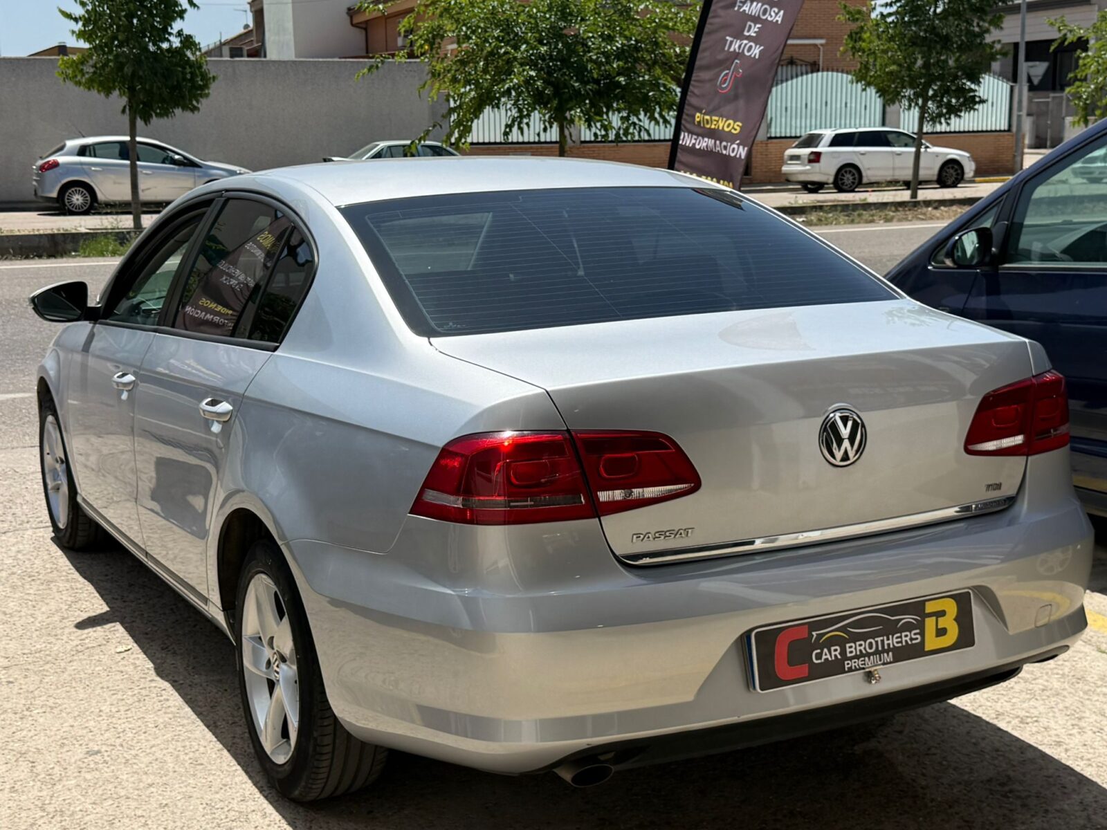 VOLKSWAGEN passat edition bluemotion